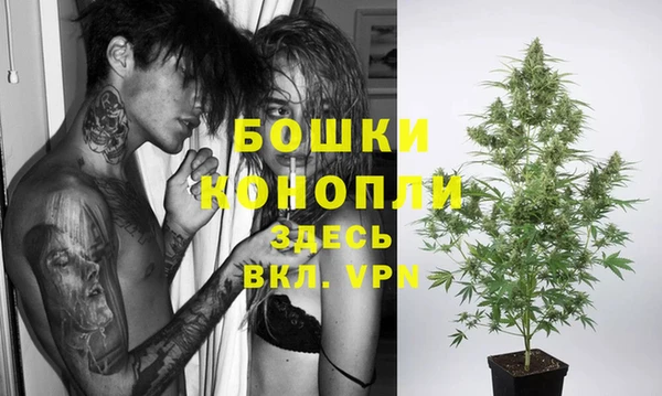 гидра Киренск