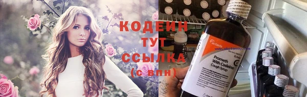 гидра Киренск