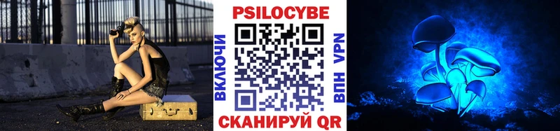 площадка клад Княгинино Псилоцибиновые грибы Magic Shrooms продажа наркотиков mega онион